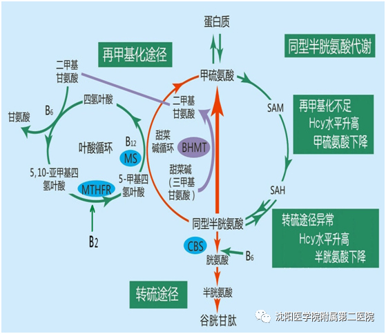微信图片_20210728105527.png