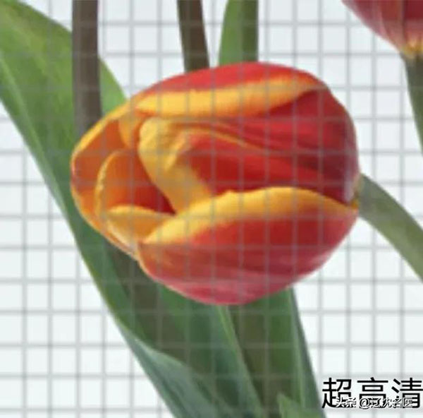1637191878623779.jpg 微信图片_20211118072725.jpg