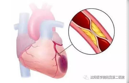 1640846549517193.jpg 微信图片_20211230143605.jpg